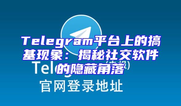 Telegram平台上的搞基现象：揭秘社交软件的隐藏角落