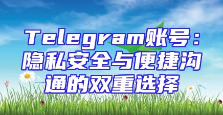 Telegram账号：隐私安全与便捷沟通的双重选择