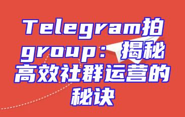 Telegram拍group：揭秘高效社群运营的秘诀