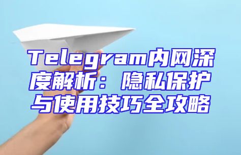 Telegram内网深度解析：隐私保护与使用技巧全攻略