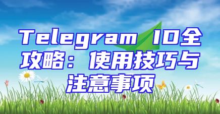 Telegram ID全攻略：使用技巧与注意事项