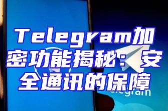 Telegram加密功能揭秘：安全通讯的保障