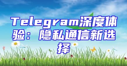 Telegram深度体验：隐私通信新选择