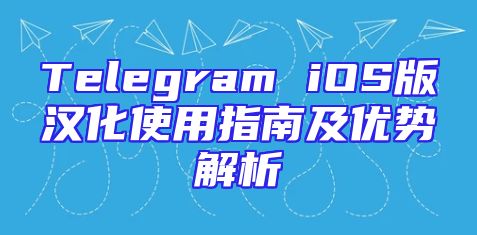 Telegram iOS版汉化使用指南及优势解析