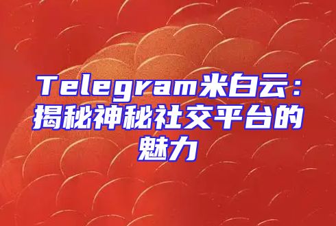 Telegram米白云：揭秘神秘社交平台的魅力