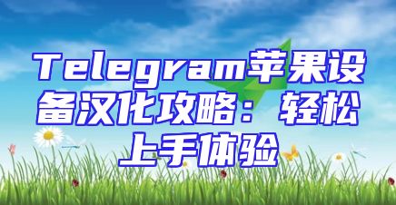 Telegram苹果设备汉化攻略：轻松上手体验
