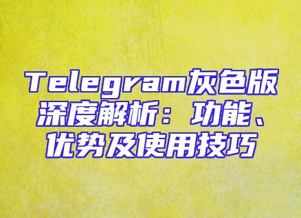 Telegram灰色版深度解析：功能、优势及使用技巧