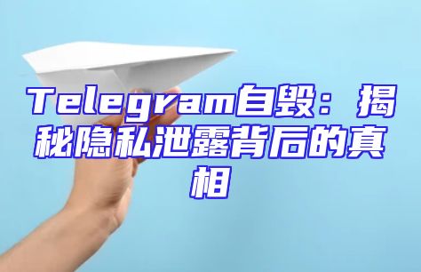 Telegram自毁：揭秘隐私泄露背后的真相