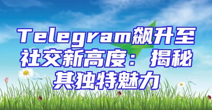 Telegram飙升至社交新高度：揭秘其独特魅力