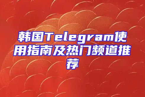 韩国Telegram使用指南及热门频道推荐
