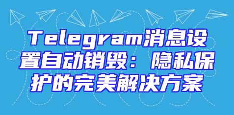 Telegram消息设置自动销毁：隐私保护的完美解决方案