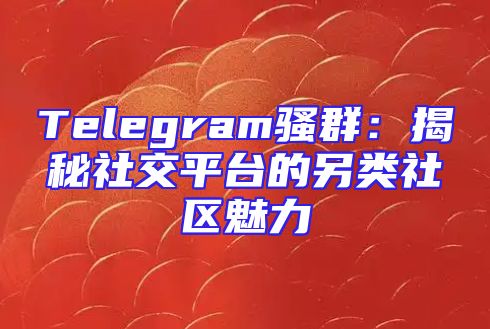Telegram骚群：揭秘社交平台的另类社区魅力