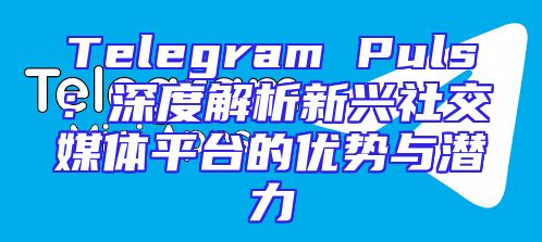 Telegram Puls：深度解析新兴社交媒体平台的优势与潜力