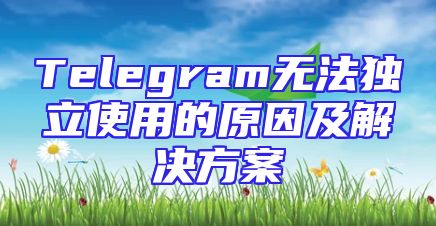 Telegram无法独立使用的原因及解决方案