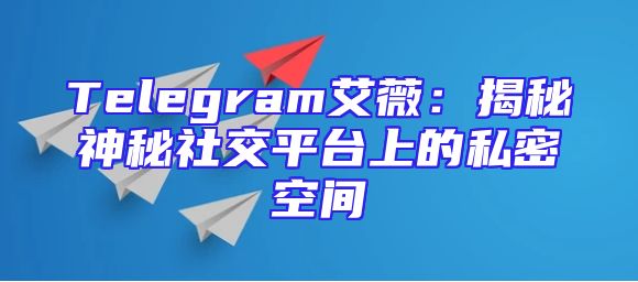 Telegram艾薇：揭秘神秘社交平台上的私密空间