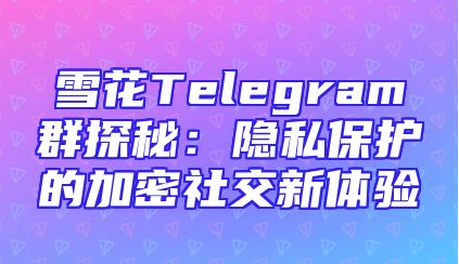 雪花Telegram群探秘：隐私保护的加密社交新体验