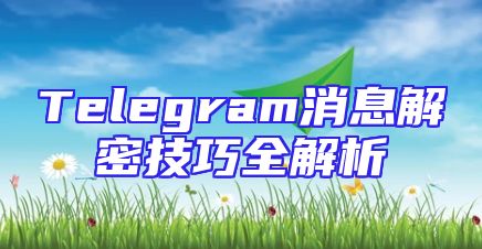 Telegram消息解密技巧全解析
