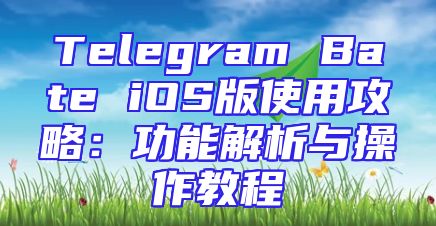Telegram Bate iOS版使用攻略：功能解析与操作教程