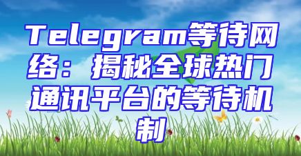 Telegram等待网络：揭秘全球热门通讯平台的等待机制