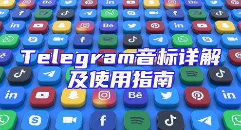 Telegram音标详解及使用指南